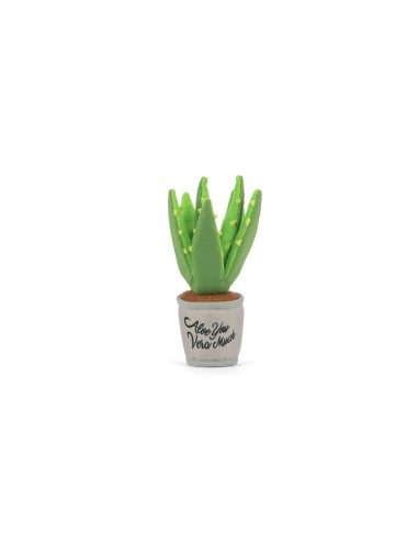 PLAY Blooming Buddies - Aloe-ve You Plant