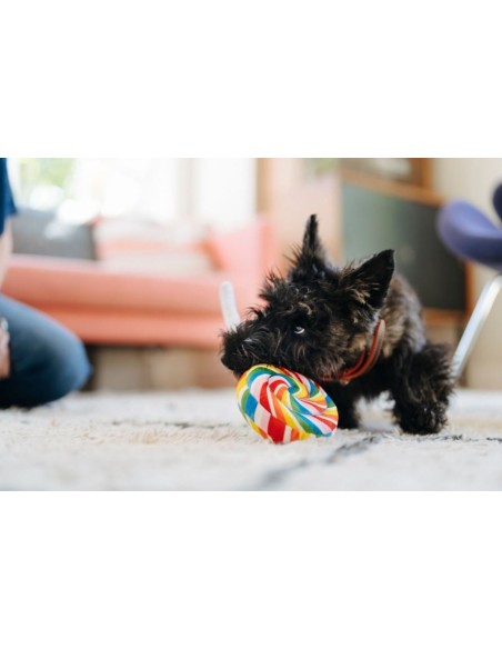PLAY Snack Attack Collection  - Lollipup, Size - Mini