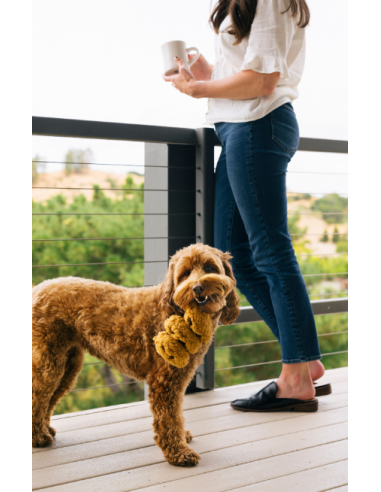 PLAY Pup Cup Café Collectie  - Cookies N' Treats, Size - Mini