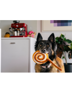 PLAY Pup Cup Café - Cinna-bone - Mini 2