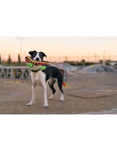 PLAY 90s Classic -   - Skateboard