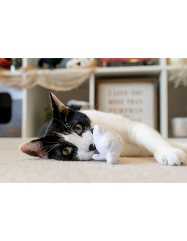 PLAY Feline Frenzy - Halloween Cat Toy - Boo Crew (2)  - Feline Frenzy - Boo Crew