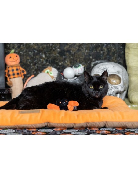 PLAY Feline Frenzy - Halloween Cat Toy - Boo Crew (2)  - Feline Frenzy - Creepy Critters