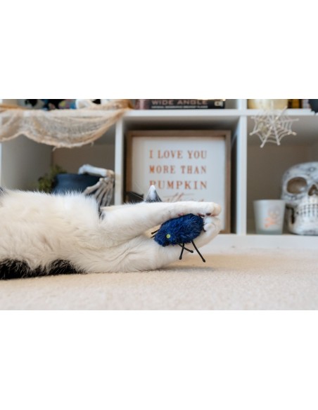 PLAY Feline Frenzy - Halloween Cat Toy - Boo Crew (2)  - Feline Frenzy - Creepy Critters