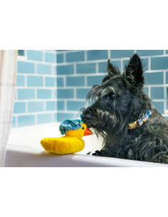 PLAY Splish Splash - Bubbles the Duck 2