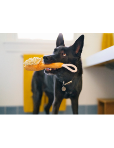 PLAY Splish Splash - Bark n' Bristles 2