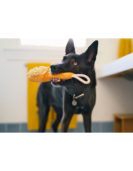 Splish Splash Collection - - Bark n' Bristles