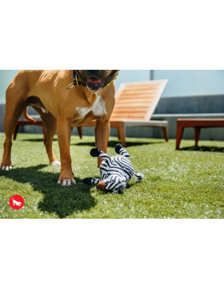 PLAY Safari - Zebra