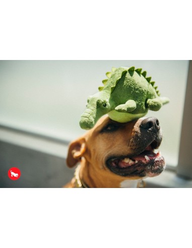 PLAY Safari - Crocodile