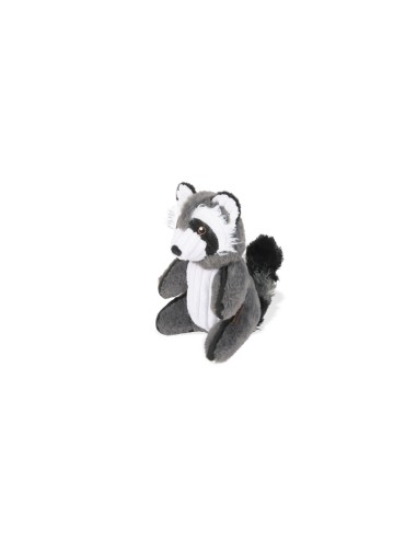 Woodland Creatures Collection   - Racoon