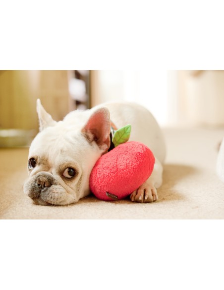 PLAY Garden Fresh   - Appel, Size - Standaard
