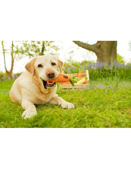 PLAY Garden Fresh   - Wortel, Size - Mini