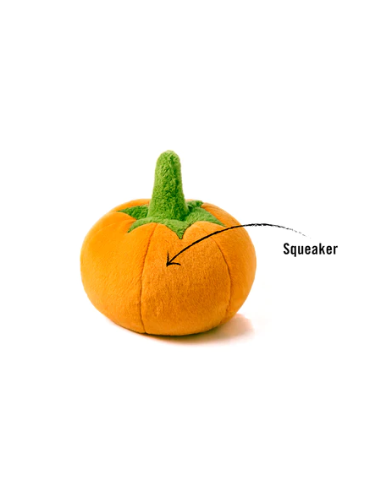 PLAY Garden Fresh   - Pompoen, Size - Mini