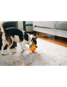 PLAY Garden Fresh - Pumpkin - Mini 2