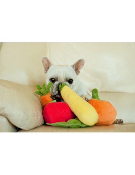 PLAY Garden Fresh   - Courgette, Size - Mini