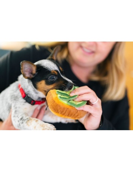 PLAY Barking Brunch Collection : P.L.A.Y. - Giftbox, Size - Mini