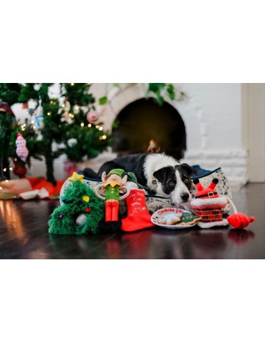 PLAY Merry Woofmas Collection : P.L.A.Y. - Display