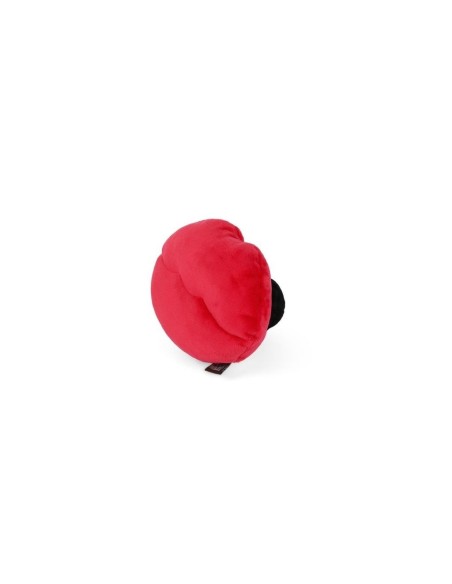 PLAY Lovebug - Smoochy Poochy
