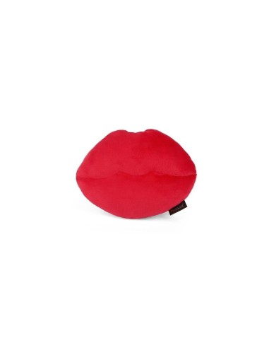 PLAY Lovebug - Smoochy Poochy