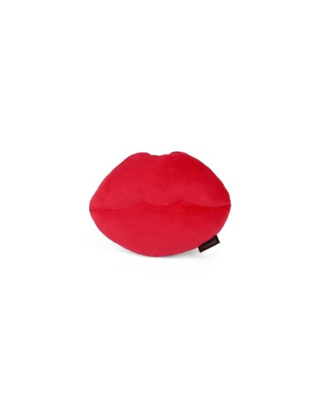 PLAY Lovebug - Smoochy Poochy