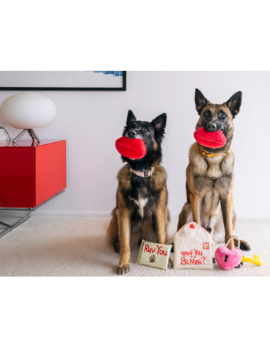 PLAY Lovebug - Smoochy Poochy