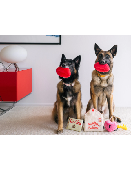 PLAY Lovebug - Smoochy Poochy