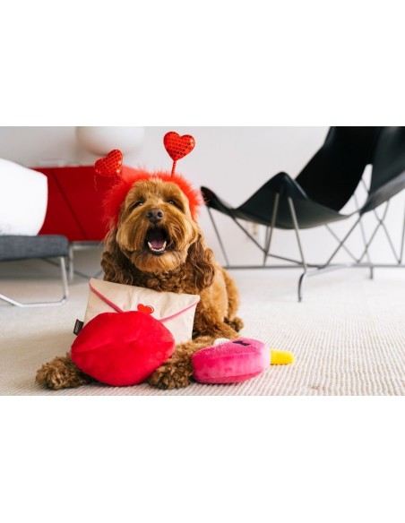 PLAY Lovebug Smoochy Poochy Collection : PLAY Textuur - Smoochy Poochy