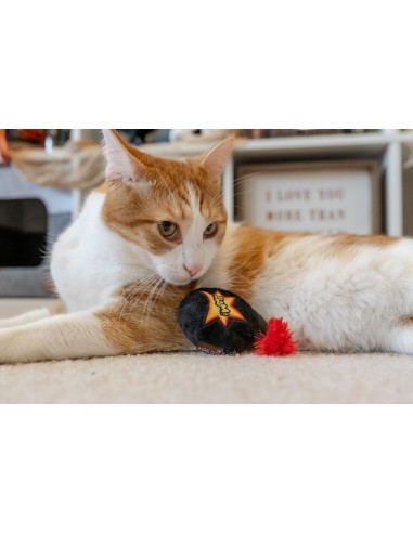 PLAY Feline Frenzy - Killer Halloween collection : PLAY Textuur - Feline Frenzy - Kitty-BOOM