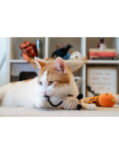 PLAY Feline Frenzy Halloween Collection : PLAY Textuur - Feline Frenzy - Menacing Mice
