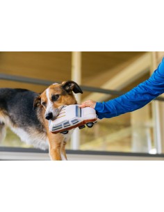 PLAY 80s Classic - Scruffy's Station Waggin' 2