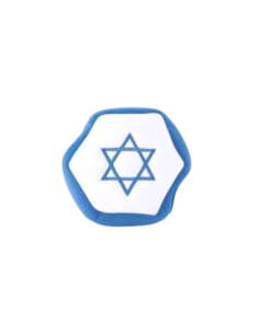 Hanukkah Burrow - Star of David 2