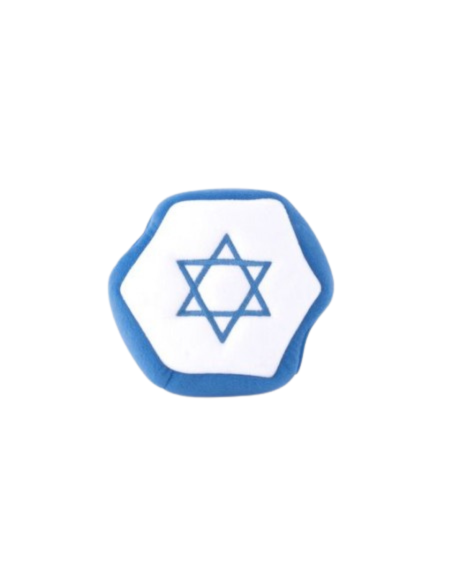 Hanukkah Burrow - Star of David