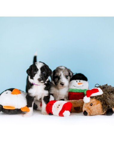 Holiday Hedgehog - XL : Size - XL