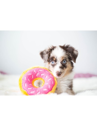Jumbo Donutz - Strawberry : ZippyPaws Maten - Junior