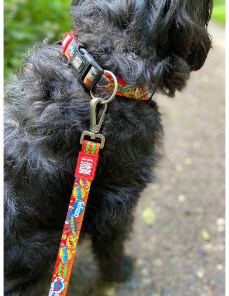 Smart ID Collar - Heroes/M