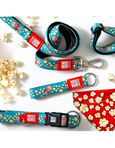 Short Leash - Popcorn/XS