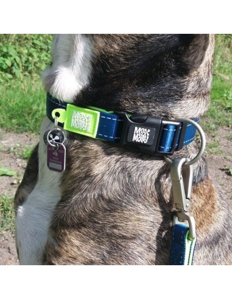 Smart ID Collar - Matrix Lime Green/M