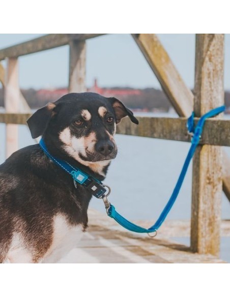 Short Leash - Matrix Sky Blue/L