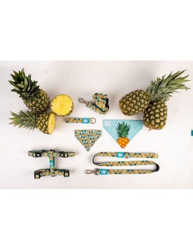 Multi-Function Leash - Sweet Pineapple/M