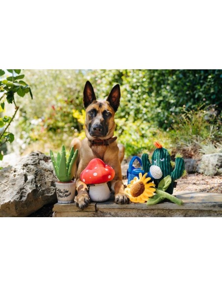 PLAY Display Blooming Buddies Collection