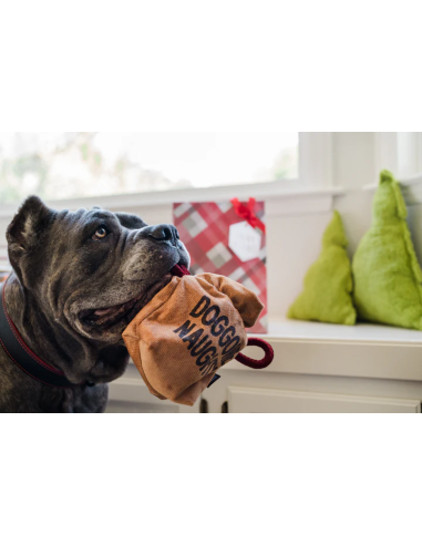 PLAY Home for the Holidays - Bag of Coals