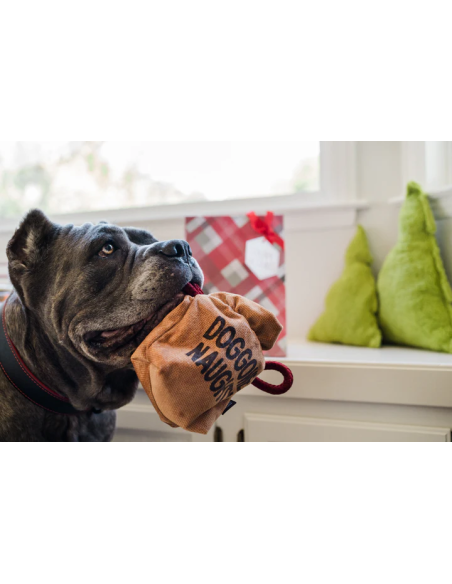 PLAY Home for the Holidays - Bag of Coals