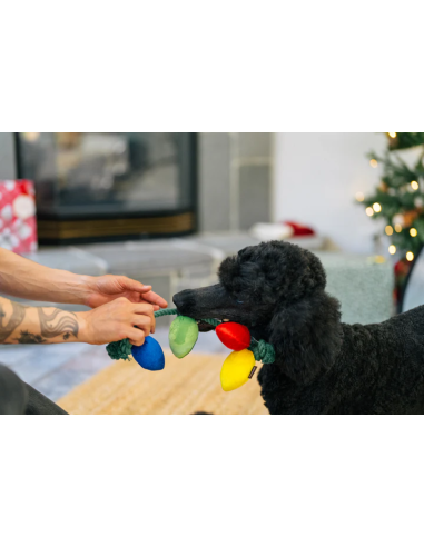 PLAY Home for the Holidays - Holiday Lights
