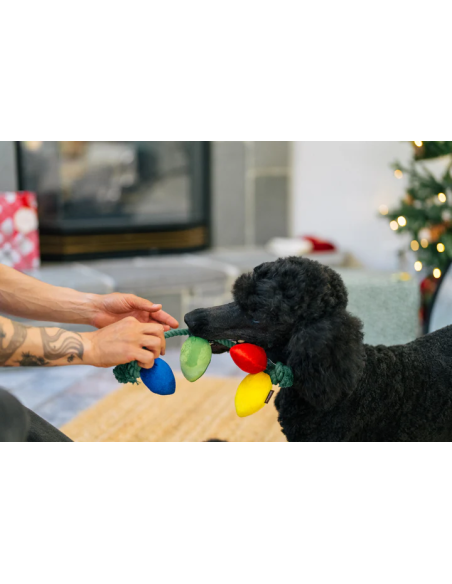 PLAY Home for the Holidays - Holiday Lights
