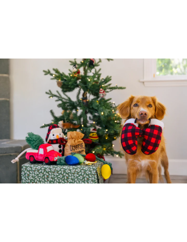 PLAY Home for the Holidays - Mittens