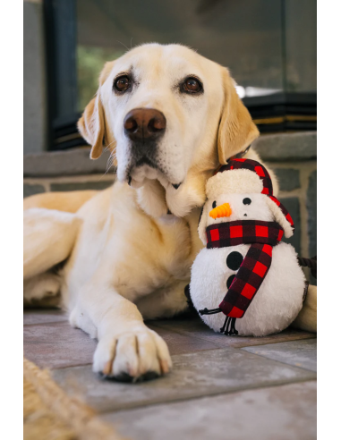 PLAY Home for the Holidays - Snowman