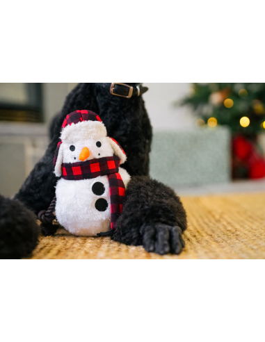 PLAY Home for the Holidays - Snowman