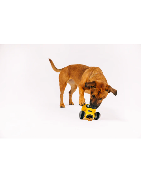 Alien Buddy - Robo Rover