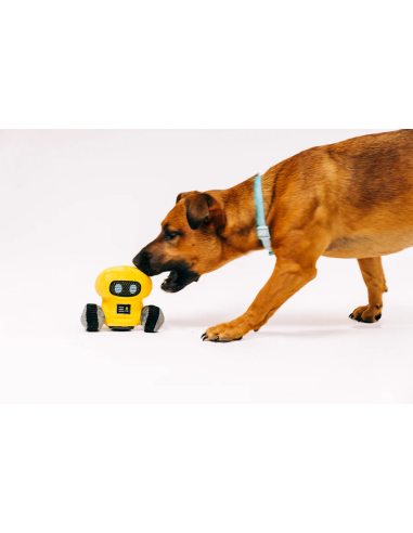Alien Buddy - Robo Rover