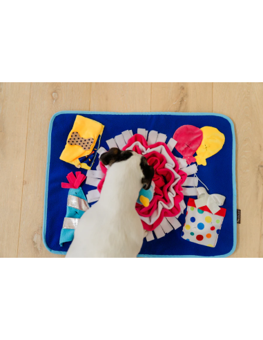PLAY Snuffle Mat - Celebration